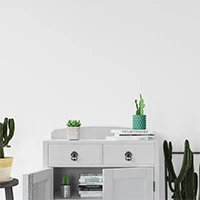Meuble cactus Accueil - Line